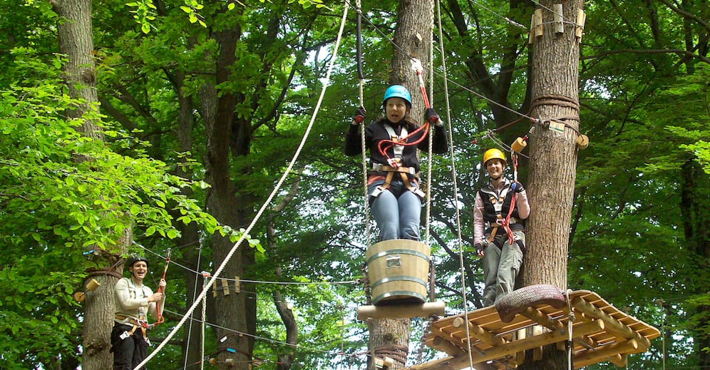 Der Kletterpark im Binger Wald. Foto: Stadt Bingen
