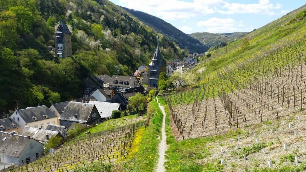 Blick vom Bacharacher Postenturm.