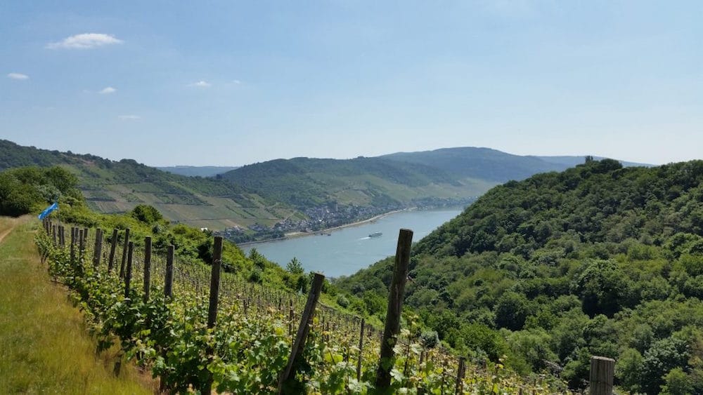 Stadt-Land-Fluss am Mittelrhein: Blick von Medenscheid in den Rheingau.
