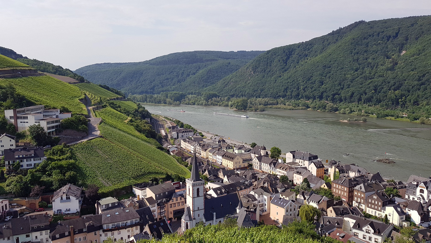 Blick auf Assmannshausen. Links oben die frühere Schule. Foto: Rüdesheim Touristik / Jörg Thamer