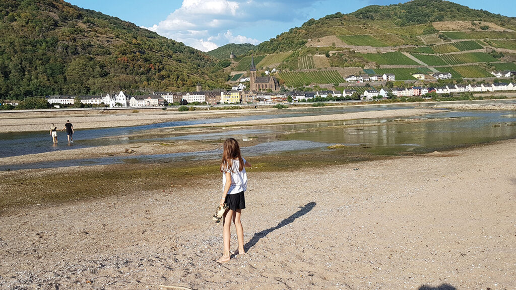 Niedrigwasser 2018 bei Bacharach. 