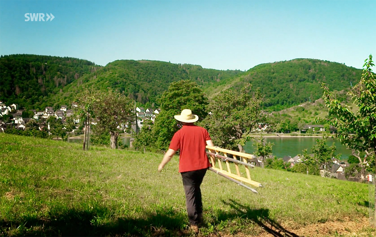 Der SWR besuchte Frank Böwingloh in Filsen. Screenshot: SWR