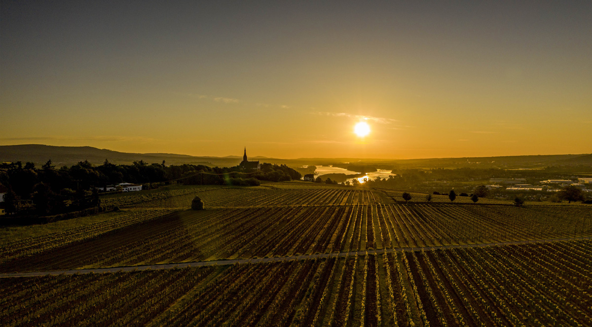 Sonnenaufgang am Rochusberg. Foto: Stadt Bingen / Torsten Silz