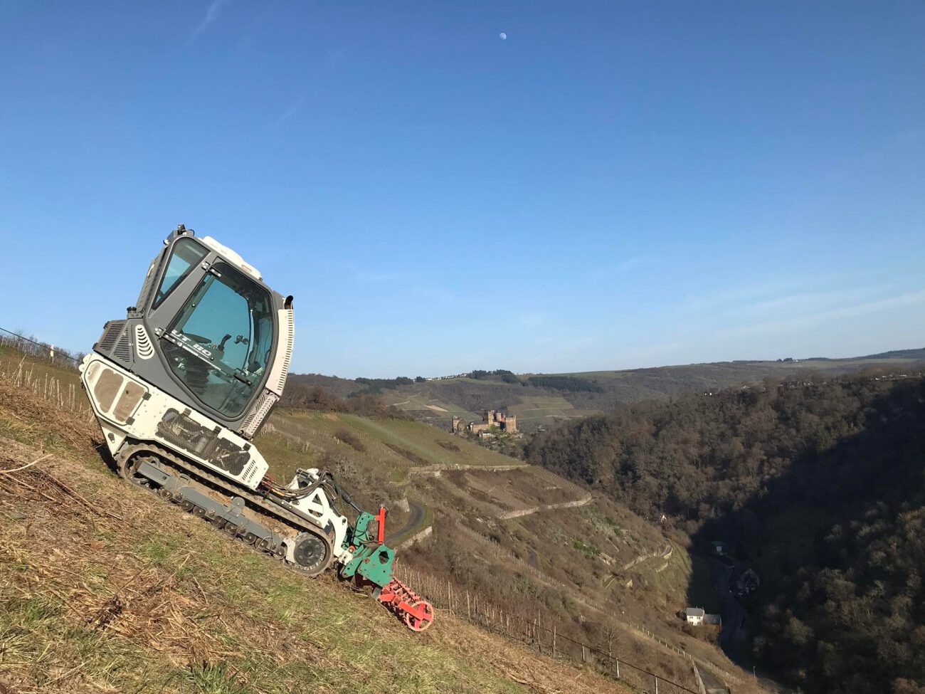 Weinbergsrodung in Oberwesel-Engehöll. Foto: Tristan Storek