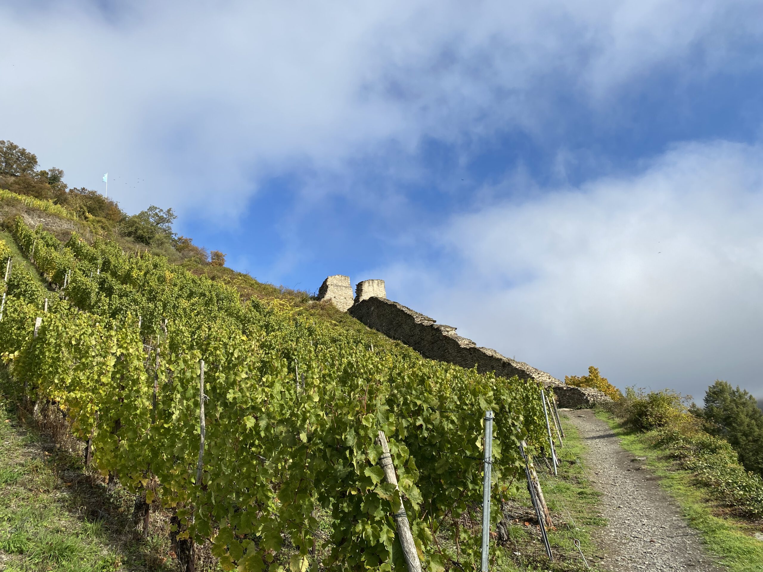 Weinlage Bacharacher Posten.