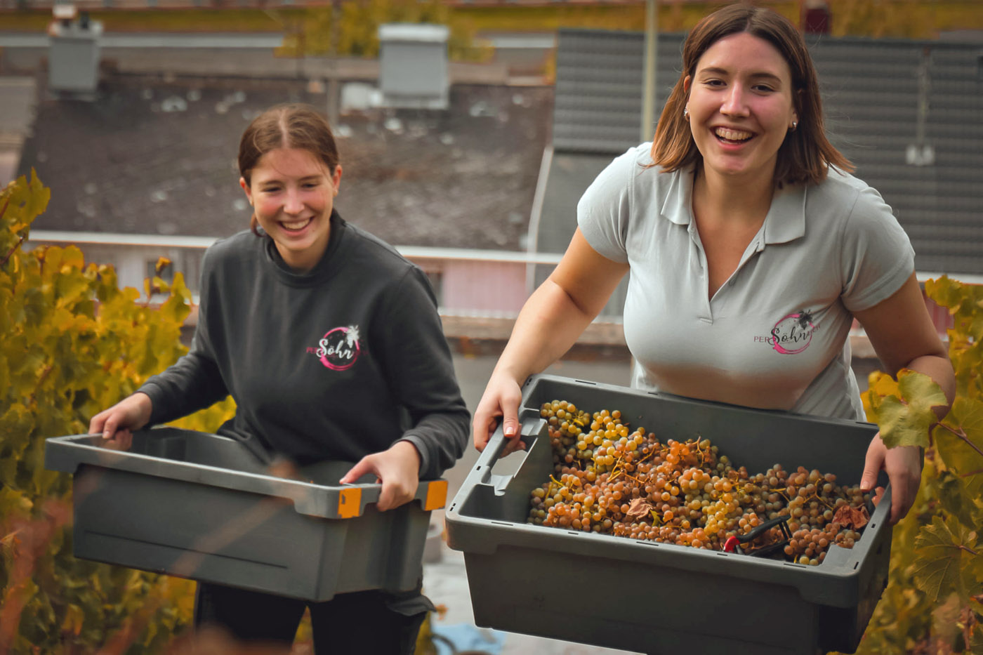 Lilly und Paula Söhn bei der Weinlese 2022.