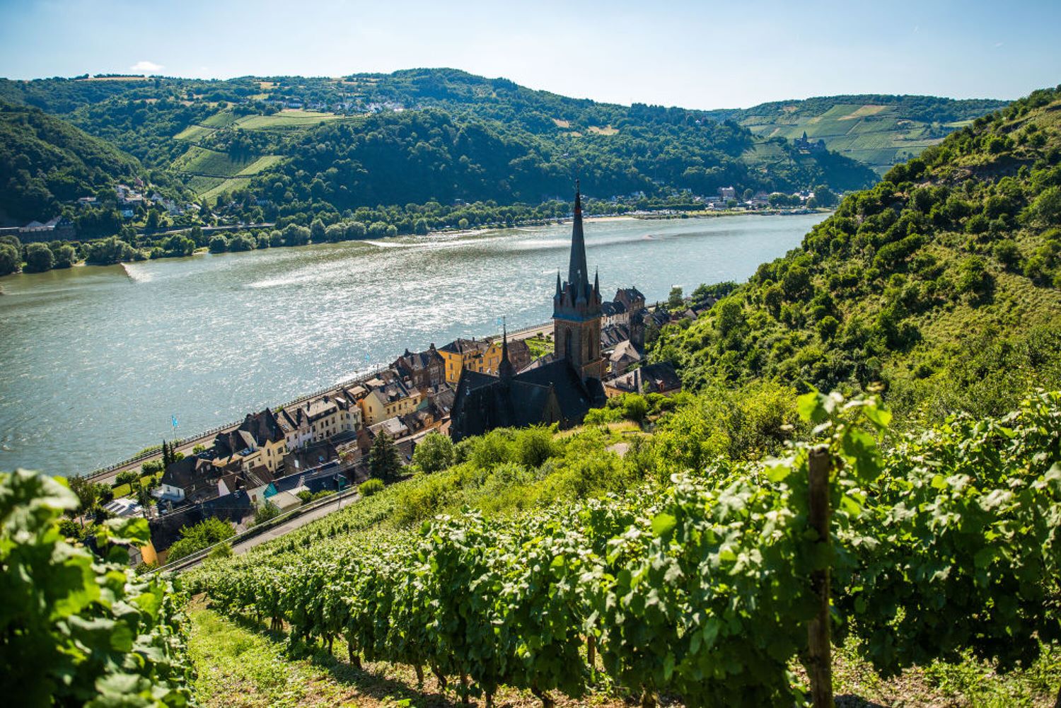 Weinberge bei Lorchhusen. Foto: Henry Tornow / Romntischer Rhein