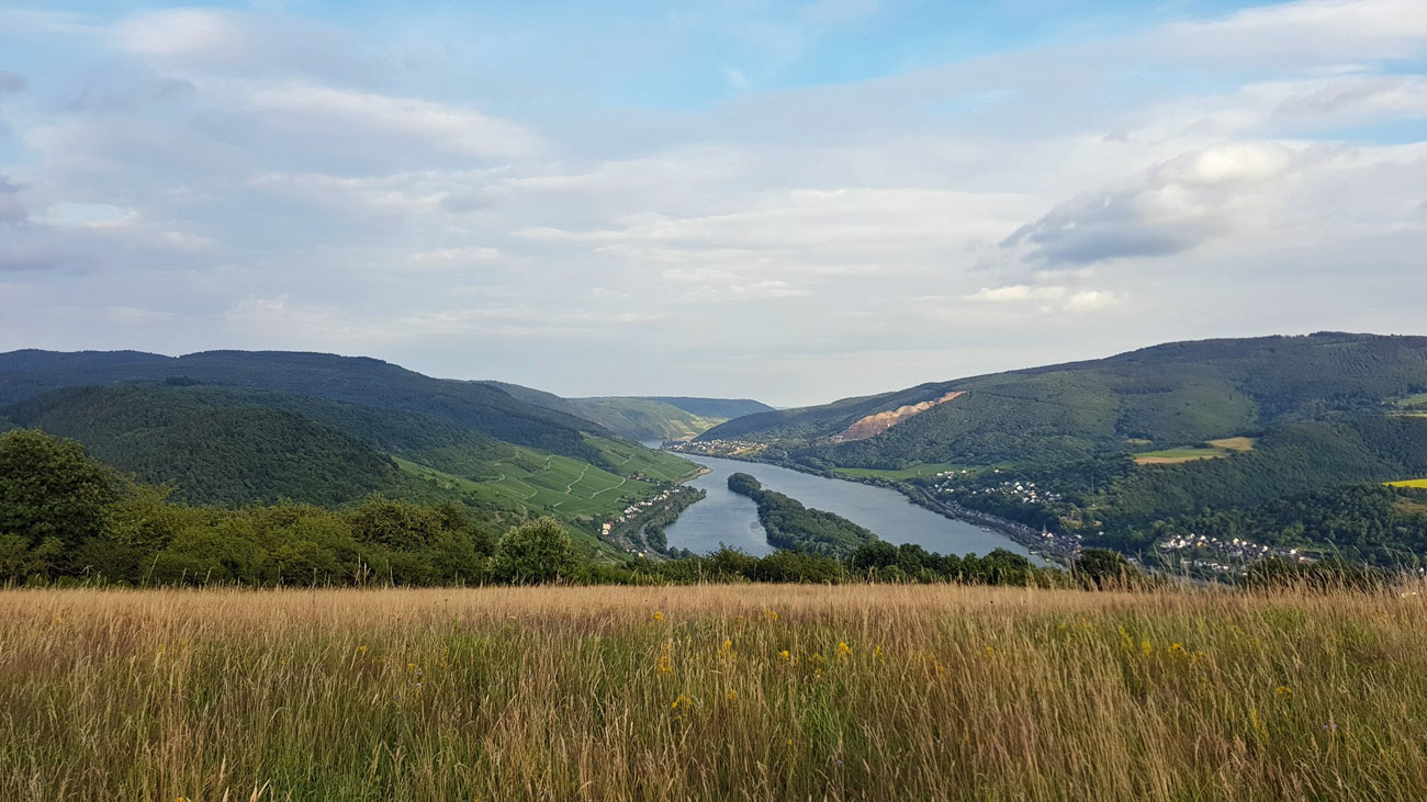 Wiese oberhalb von Lorch. Foto: Rheingau Marketing
