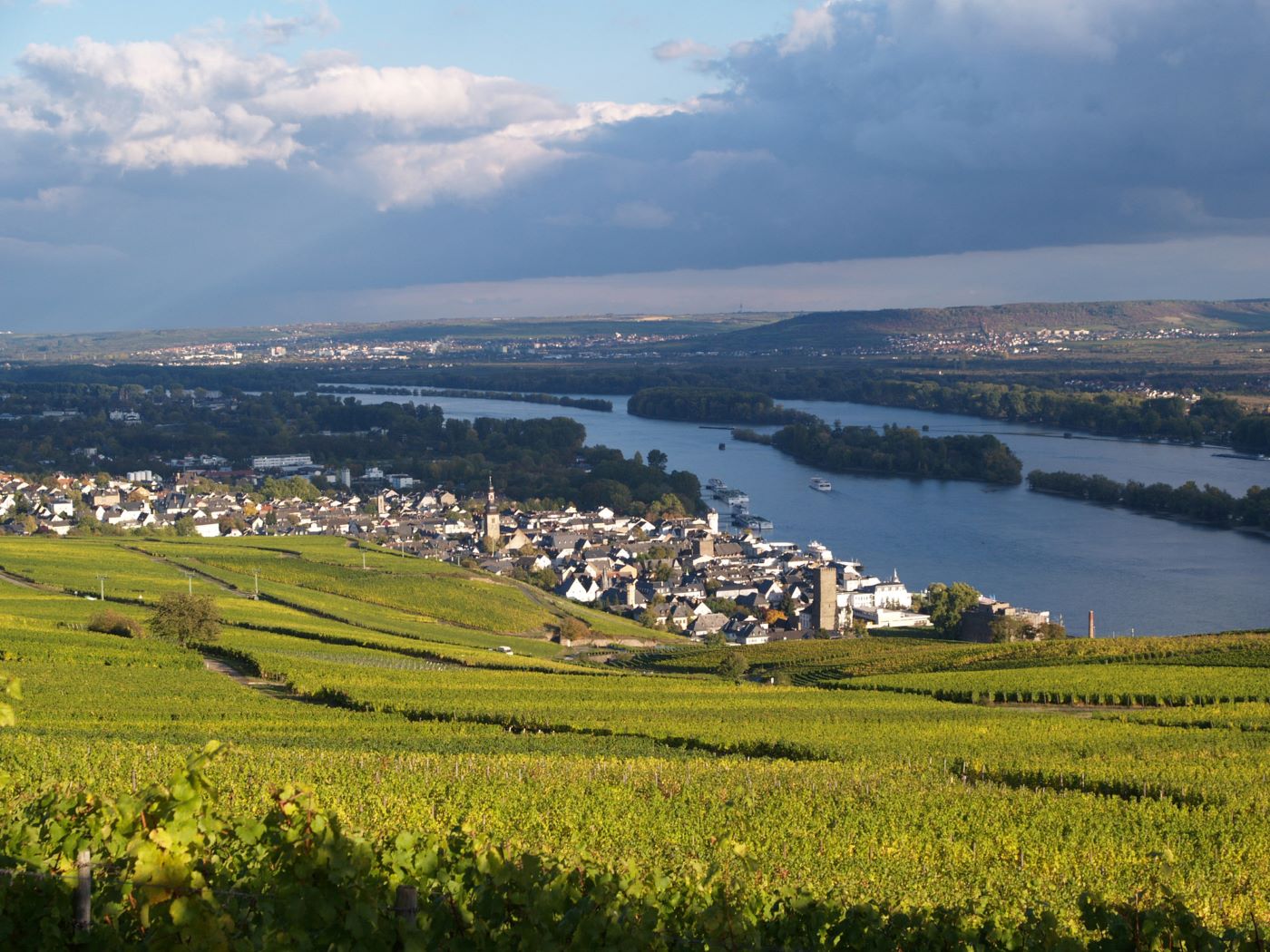 Blick auf Rüdesheim. Foto: Karl-Heinz Walter / Rheingau Marketiung