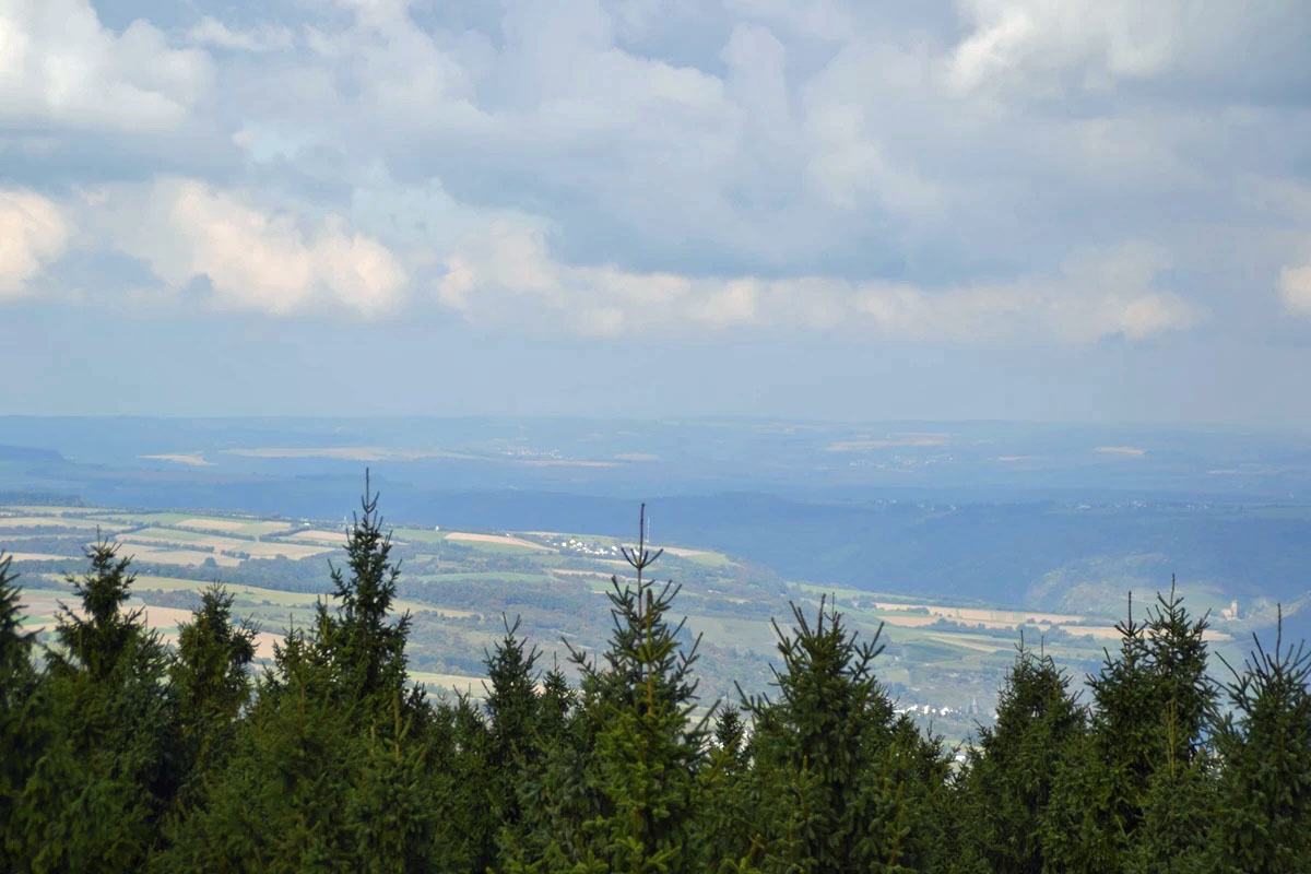 Welterbeblick vom Binger Wald. Foto: Stadt Bingen