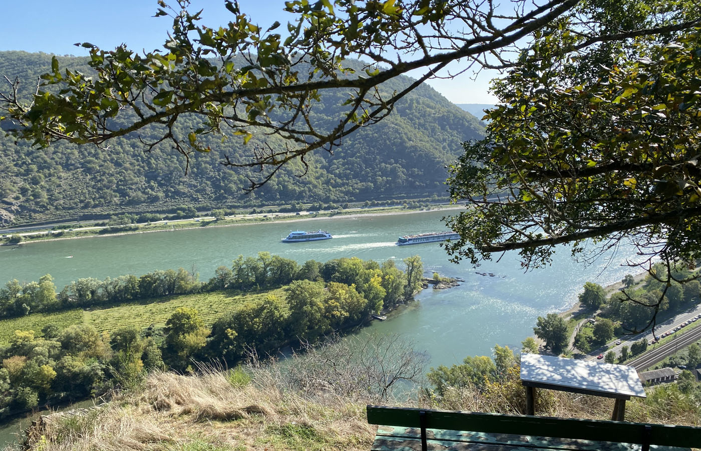 Die Bacharacher Insel. Foto: Frank Zimmer
