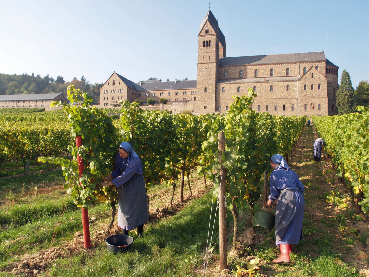 Kloster St. Hildegard in Rüdesheim. Foto: Rüdesheim Tourist AG - Karlheinz Walter