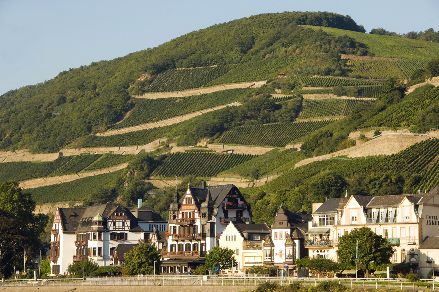 Blick auf Assmannshausen und das Hotel zur Krone. Foto. Rheingau Marketing / Karl Hoffmann