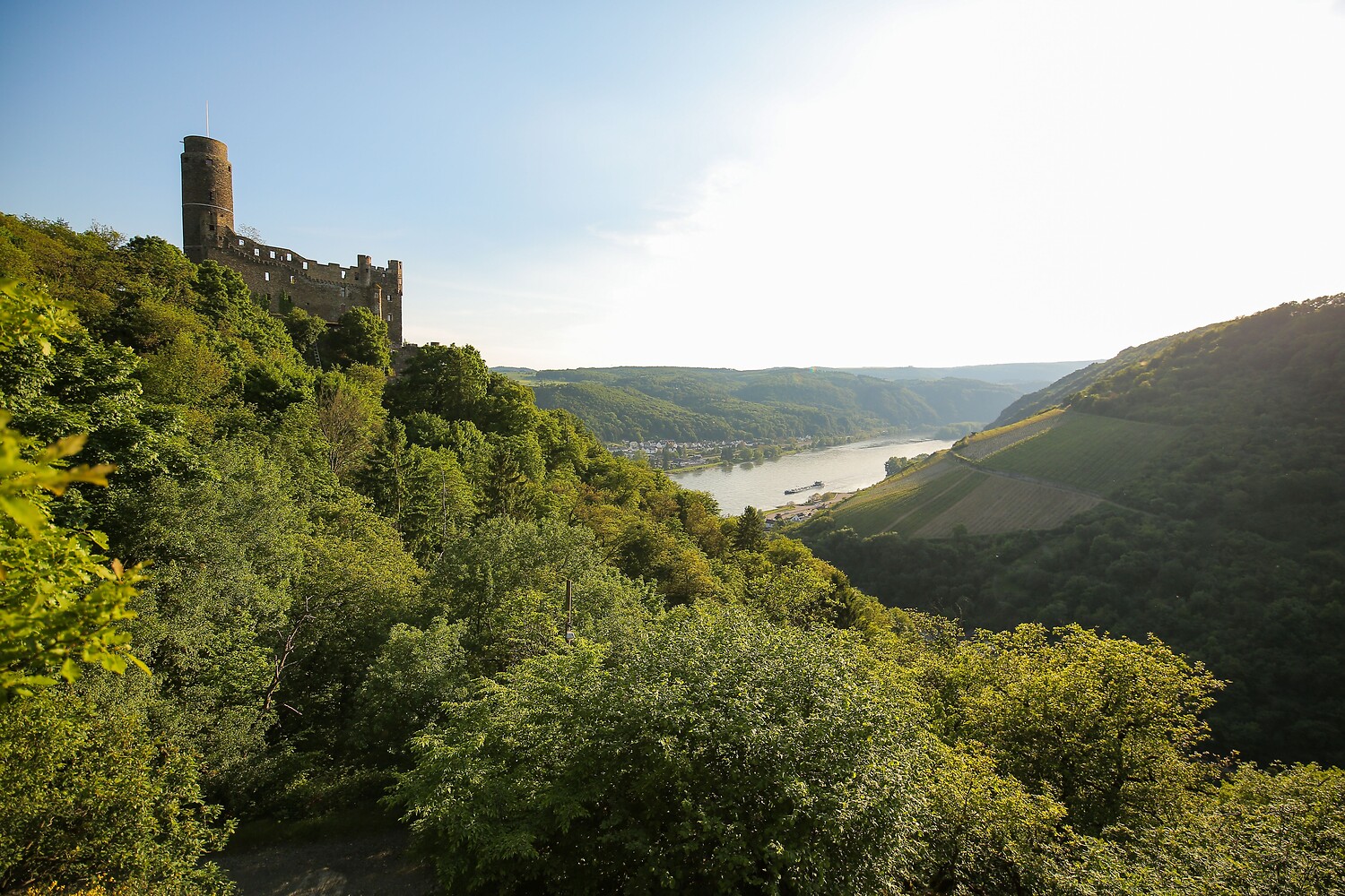 Burg Maus am Rhein.