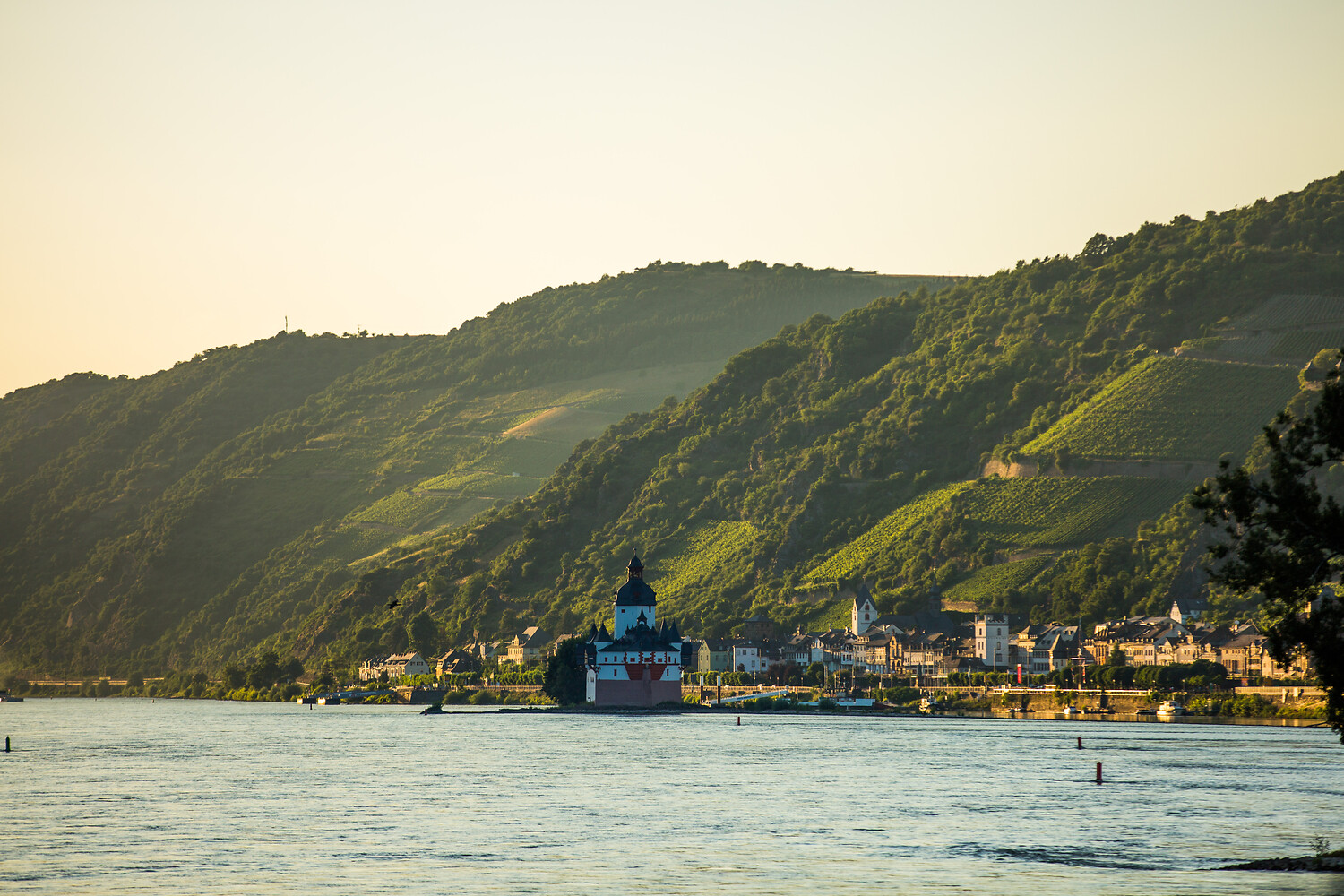 Kaub am Rhein. Foto: Henry Tornow / Romantischer Rhein