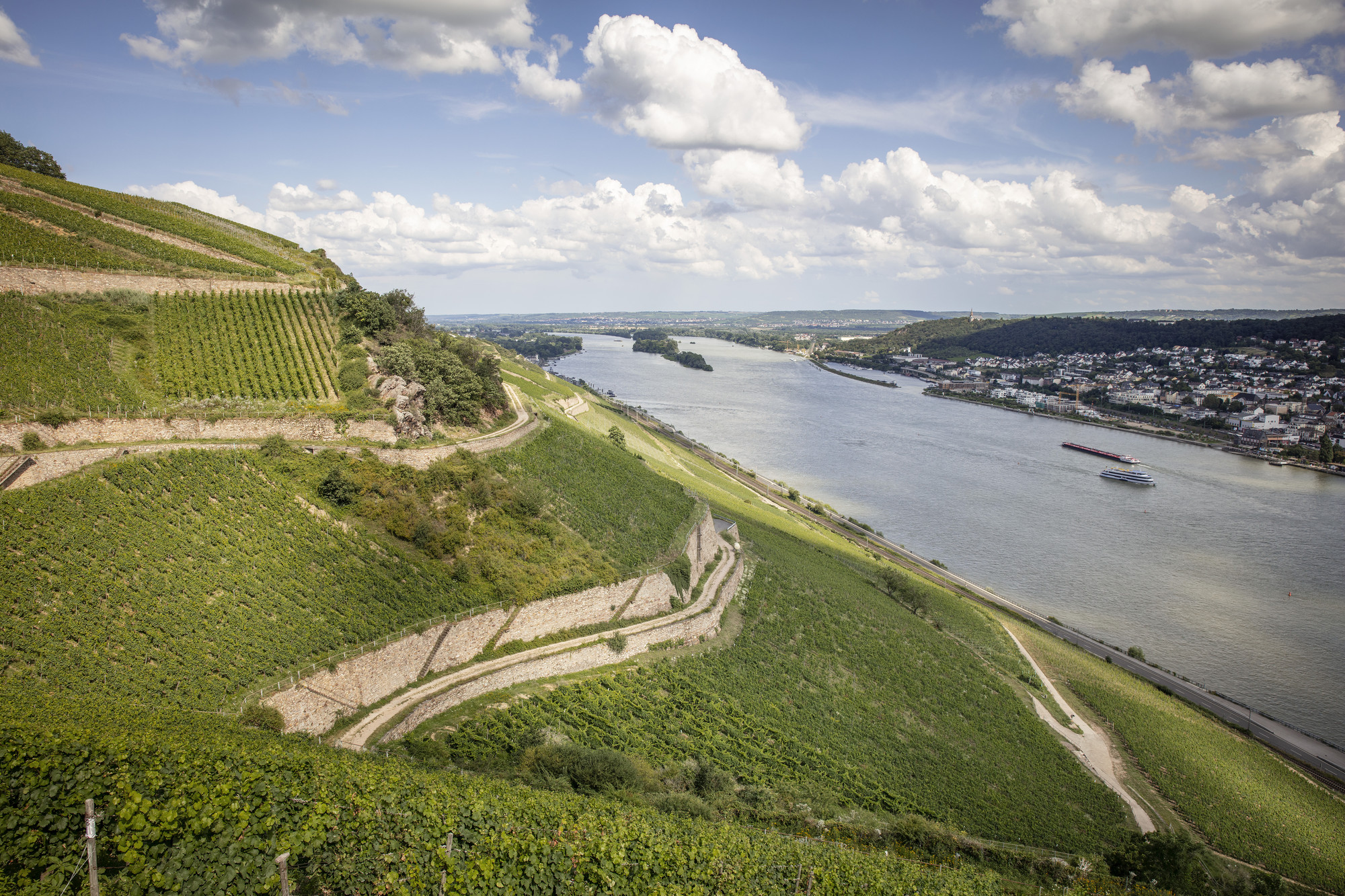 Blick auf Bingen-Kempten. Foto: Rui Camilo