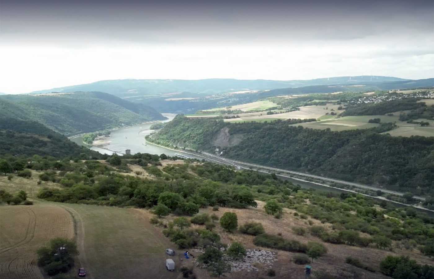 Schafe auf der Dörscheider Heide oberhalb von Kaub. Screenshot: SWR