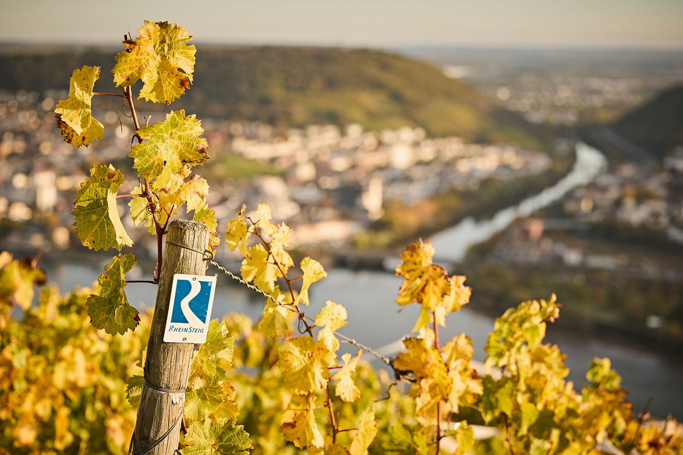 Rüdesheimer Weinberge / Blick auf Bingerbrück. Foto: Marco Rothbrust/Romantischer Rhein Tourismus GmbH (CC BY 4.0 https://creativecommons.org/licenses/by/4.0/)