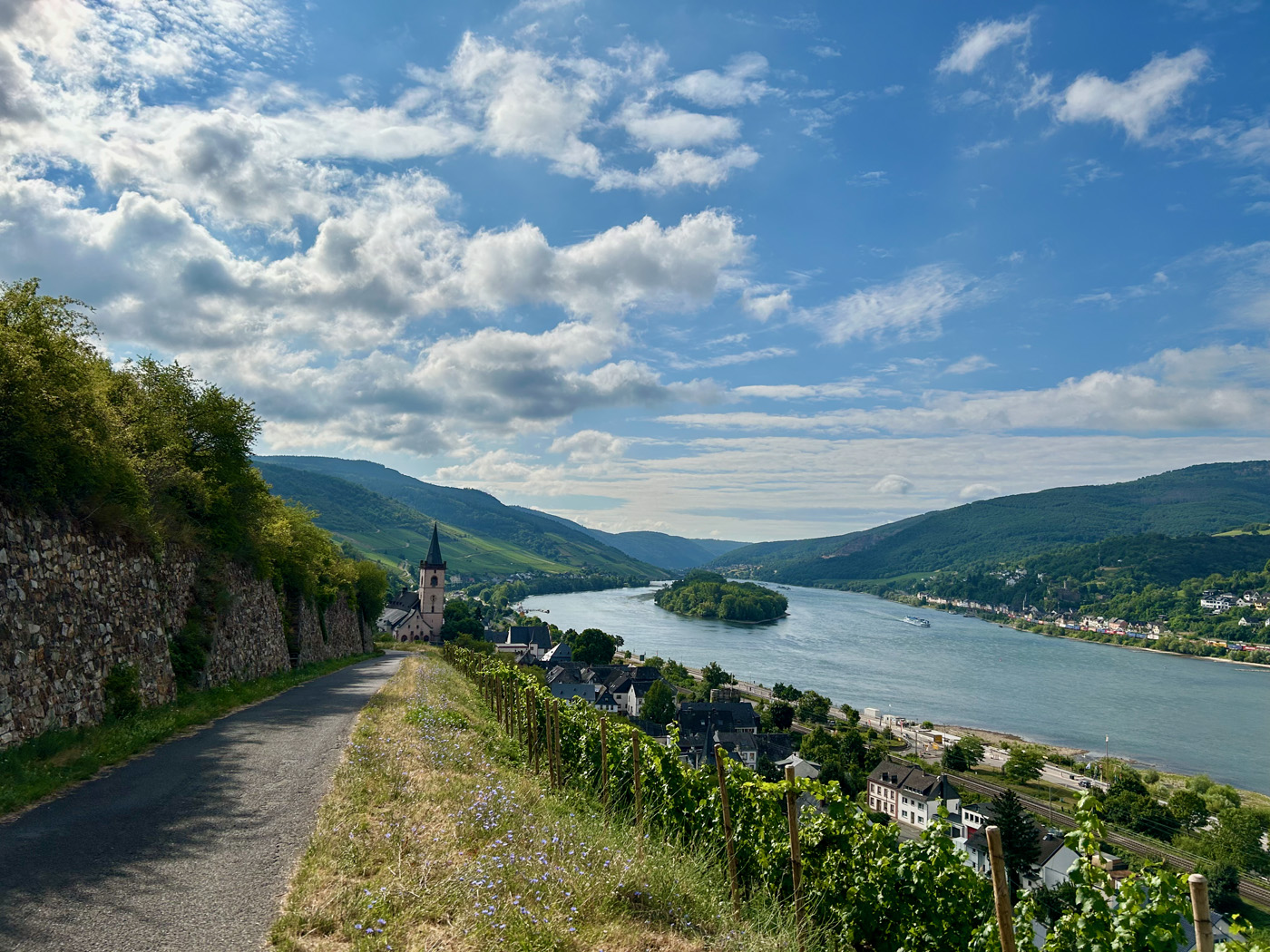 Blick auf Lorch am Rhein. Foto: Frank Zimmer
