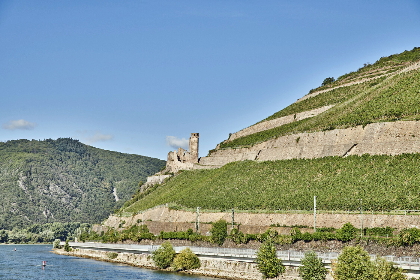 Burg Ehrenfels bei Rüdesheim. Foto: HA Hessen Tourismus, Roman Knie