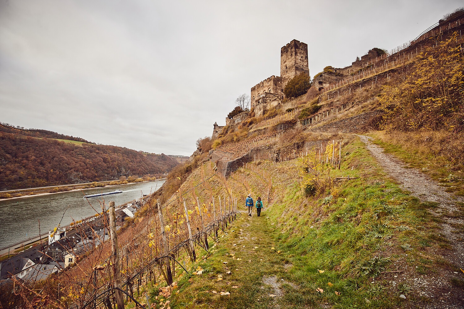 Burg Gutenfels büber Kaub am Rhein im Herbst. Foto: Marco Rothbrust/Romantischer Rhein Tourismus GmbH (CC BY 4.0)