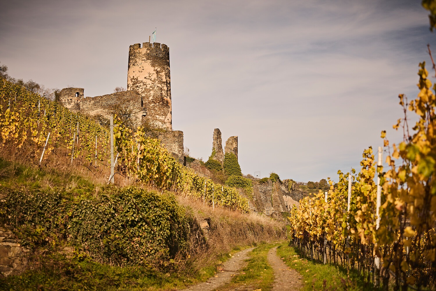Ruine Fürstenberg bei Rheindiebach. Foto: Marco Rothbrust/Romantischer Rhein Tourismus GmbH (CC BY 4.0 https://creativecommons.org/licenses/by/4.0/)