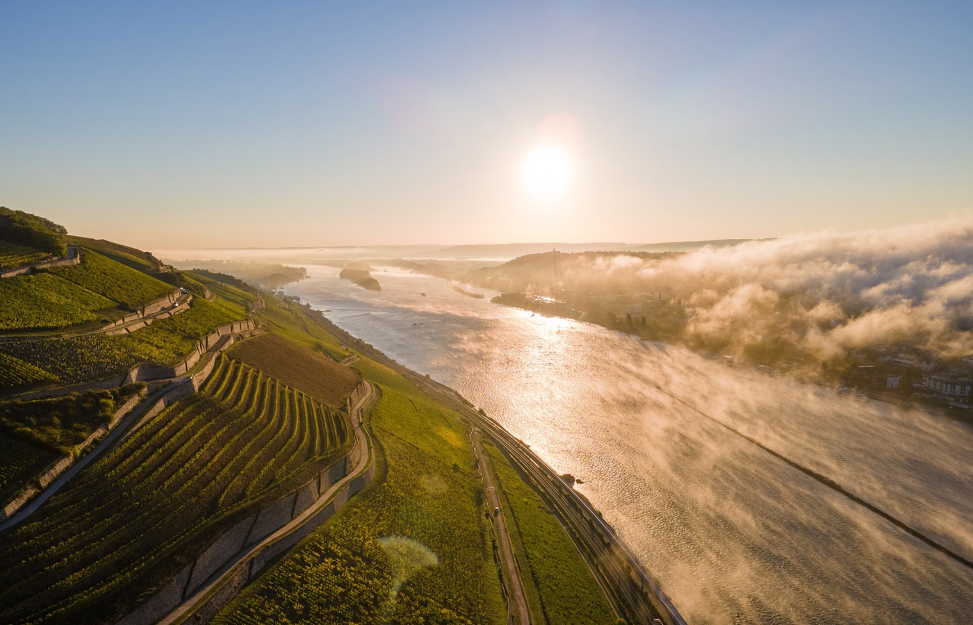 Weinberge bei Lorch am Rhein. Foto: Walk like a local, Rüdesheim