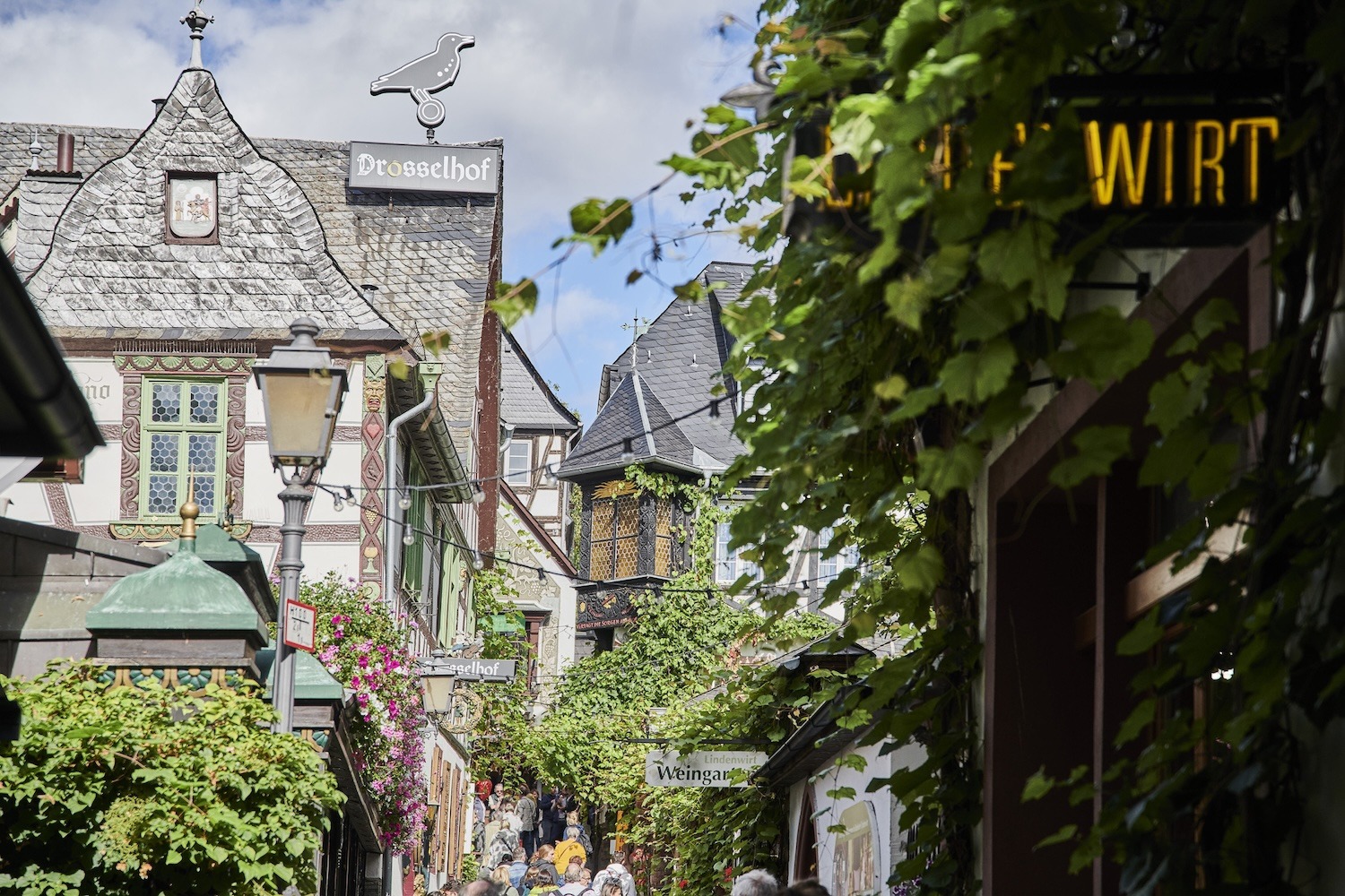 Rüdesheim am Rhein. Foto: Hessen Tourismus / Roman Knie
