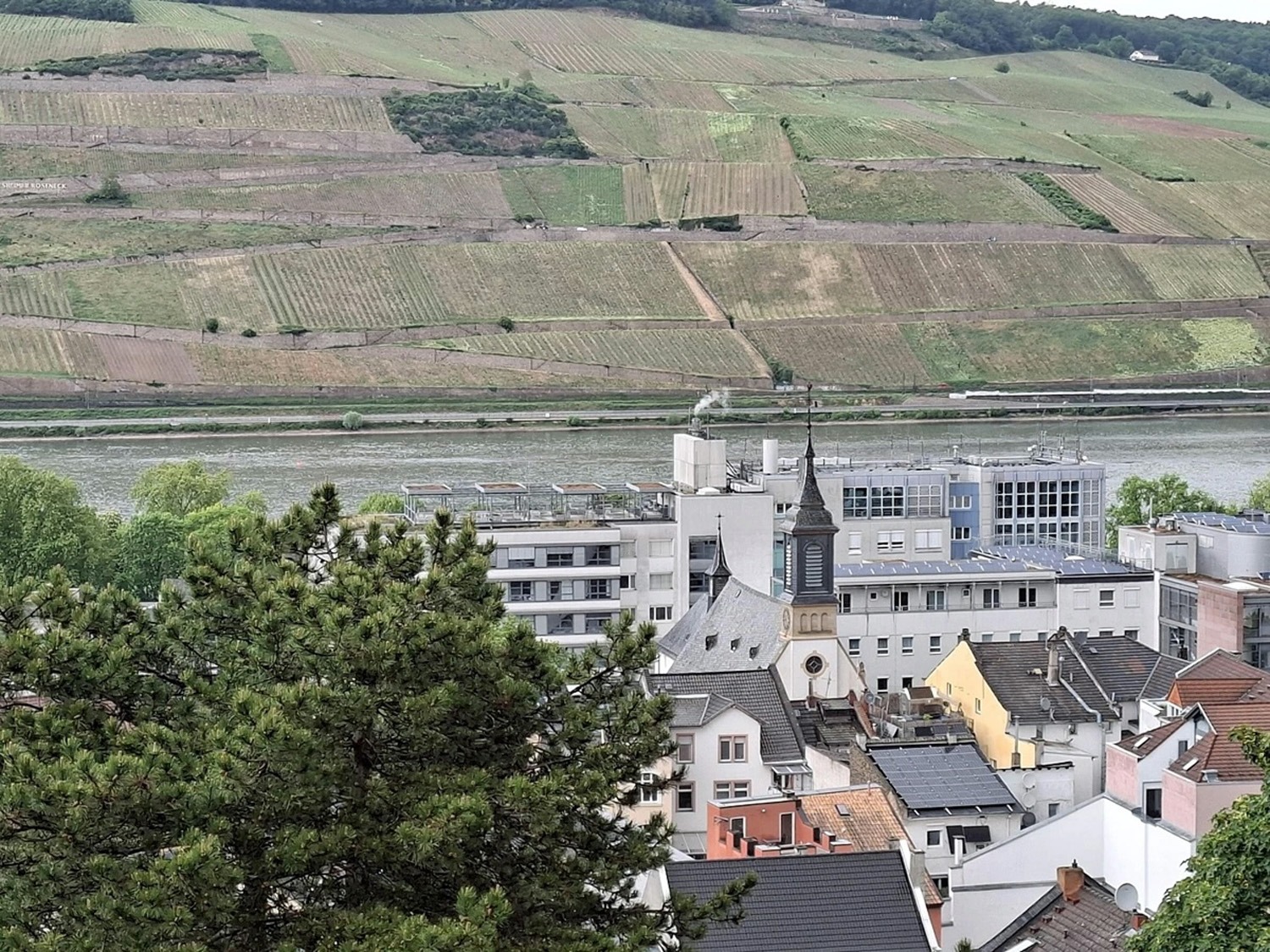 Blick auf das Binger Krankenhaus. Foto: Stadt Bingen / Gabi Gsell
