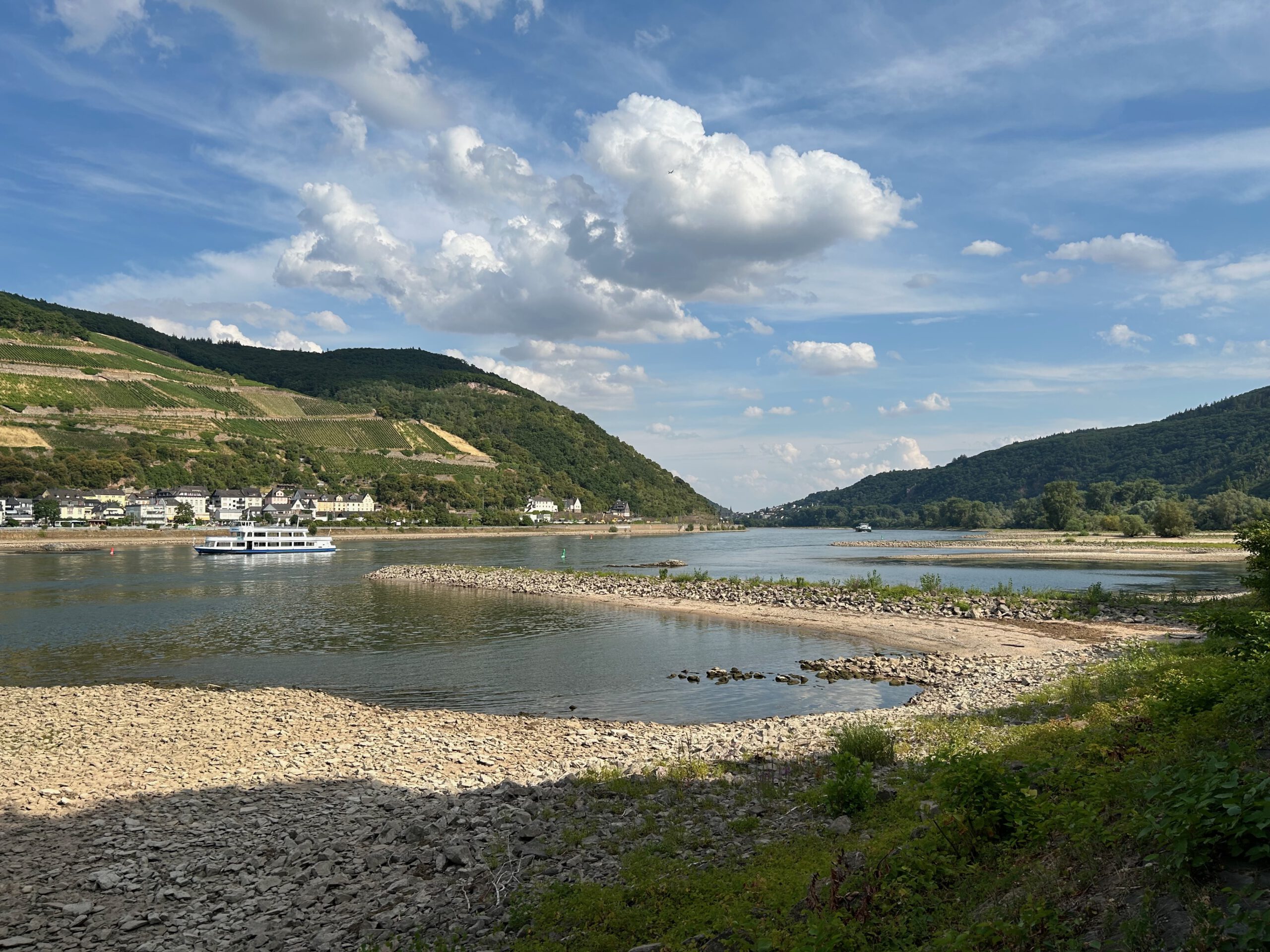 Niedrigwasser bei Assmannshausen 2026