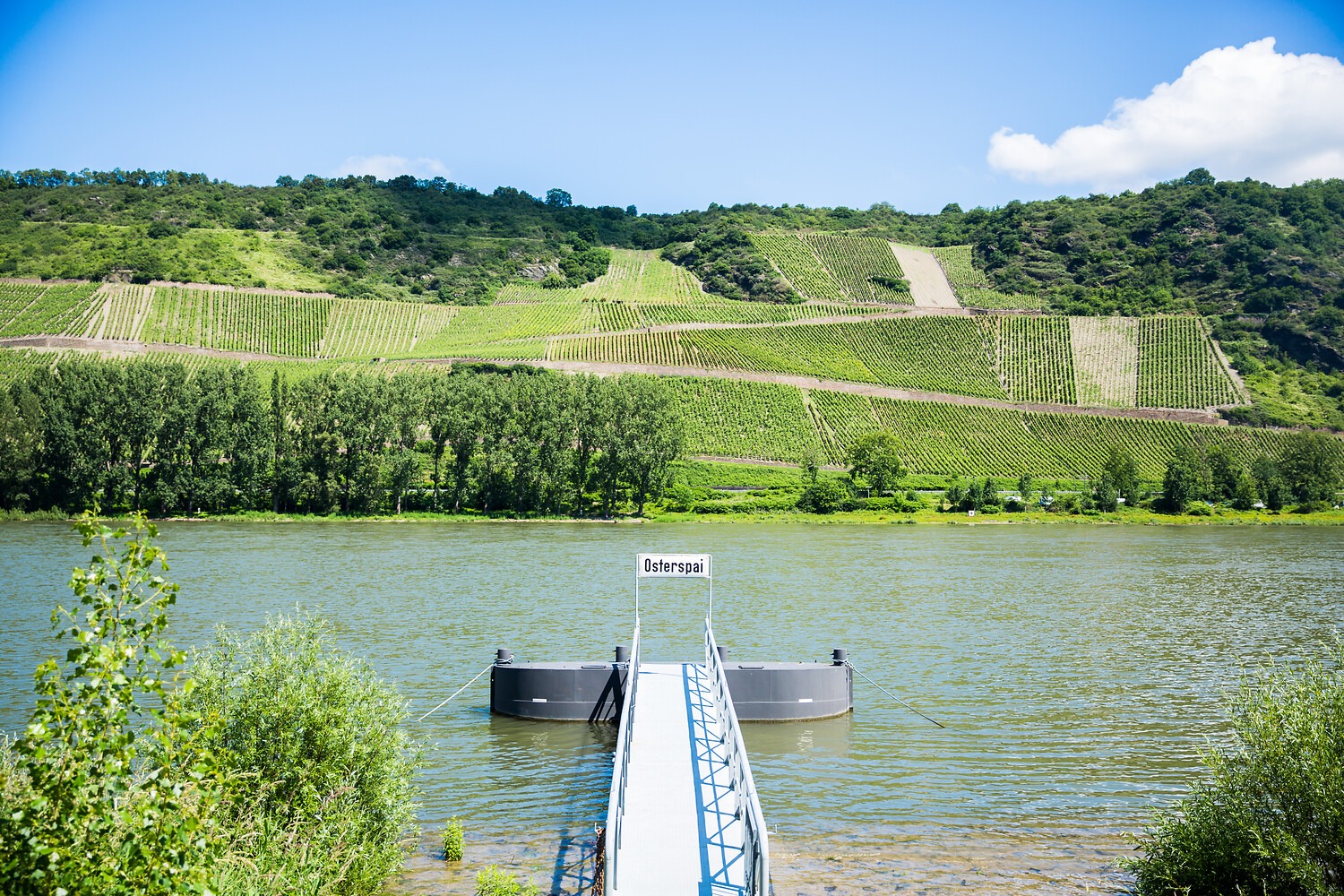 Osterspai am Rhein. Foto: Henry Tornow / Romantischer Rhein